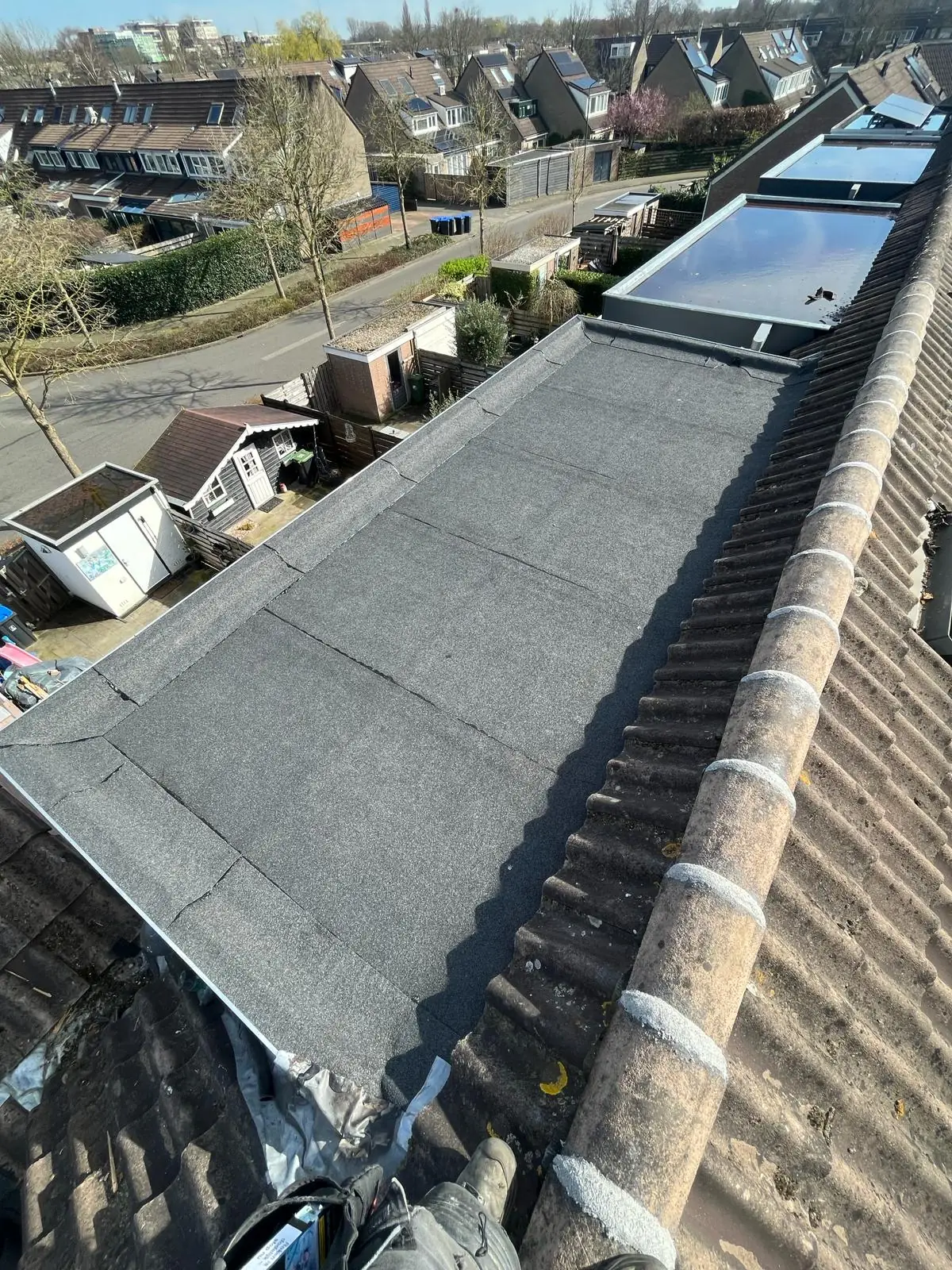 Detail van sedumdak met substraat en bloeiende vetplanten